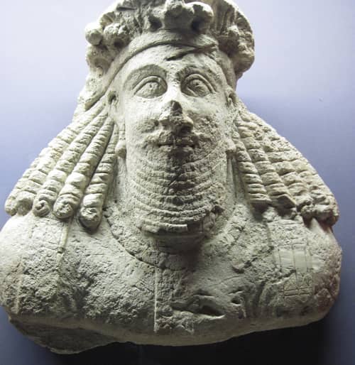 آذرنرسی